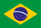 Brezilya flag