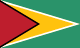 غيانا flag