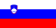 Slovenya flag